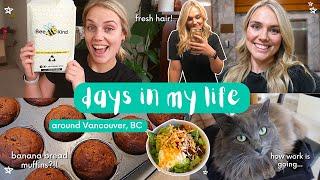 Days in My Life | Vancouver, Canada | healthy dinners, fresh hair, banana bread, productive weekend!