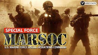 What Makes MARSOC a Special Force | "Always Faithful, Always Forward"