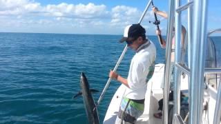 January Cocoa Beach Offshore Kingfish Fishing Report