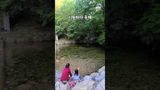 가성비 좋은 여름 휴가지 추천 | #청도 #계곡  #운문산자연휴양림