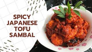 Spicy Japanese Tofu Sambal | Easy Recipe | Kitchen Journey | JS World Studio