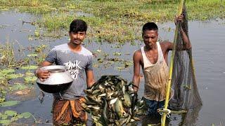 আজ জামাই শশুর মিলে কত গুলো মাছ  মারলো । Our Simple Village Life Style Vlog | Village Vloger |