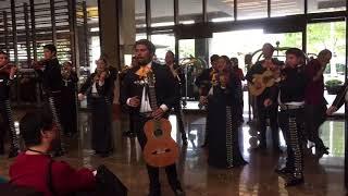 Latin Music Studies at Texas state University