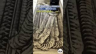 爲了測試掃地機器人的清潔能力，弄了一地的灰讓它掃，完成任務的掃地機器人：yue（嘔吐的意思）～#shorts #china #DynamicChina
