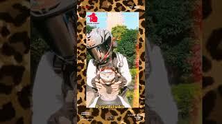 Rider pet cat riding in KTM bike editing Royal studio