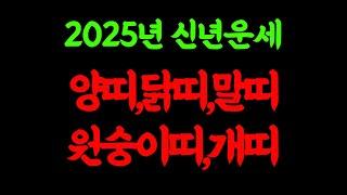 2025년 신년운세 닭띠 말띠 원숭이띠 개띠 양띠 대박운 재물운 확인하세요