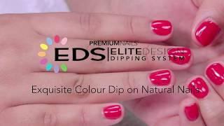 Premium Nails' Elite Design Dipping Technique