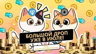 CATIZEN - большой дроп уже в июле!  Как подготовиться?