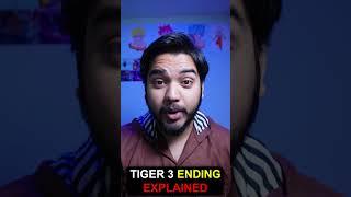 Tiger 3 Ending + Post Credit Explained (Hrithik Roshan in TIGER3)