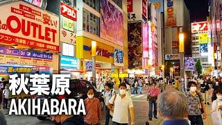 Akihabara - Center of Japanese Otaku Culture Walking Tour