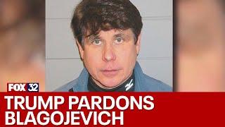 Trump pardons ex-Illinois Gov. Rod Blagojevich