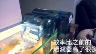 T-Pet 新魚缸過濾器 *Guppy Fish Tank