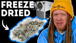 The Truth About Freeze-Drying (It’s Not What You Think)