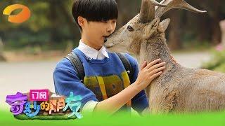 《奇妙的朋友》第1期 Wonderful Friends EP1: 萌星萌宠初接触 高冷女神玩颠覆 Cute animals first show 【湖南卫视官方版1080p】20150124