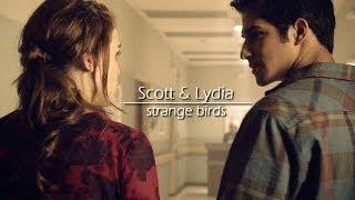 Scott & Lydia - Strange Birds