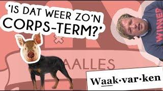 Wat is een WAAKVARKEN? - Taalles #26