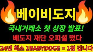 [베이비도지 코인] 재단측 공식 발표! 국내거래소 첫 상장 진행한다 24년 도지코인 따라서 역대급 폭등 예상되는 베이비도지코인 1원까지 단기간 폭등 나와줍니다!