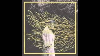 Forest Swords - Friend, You Will Never Learn