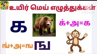 உயிர் மெய் எழுத்துக்கள் -கஙச | to learn Tamil Alphabets for kids|அ ஓசை வாய்பாடு | க்+அ=க் to ன்+அ=ன