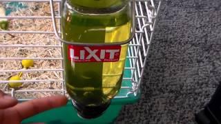 Lixit Bird Water Glass Bottle