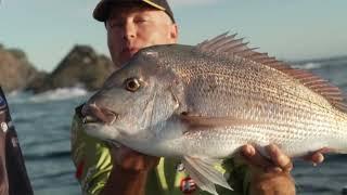 Early Morning Snapper Session (with Dom Thornley)