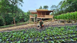 #3 Transforming the Wild Forest into a Dream Farm – Farming, Livestock, Harvesting...