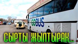 Каракол - Бишкек на автобусе GoBus