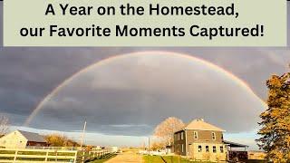 A Year on the Homestead! Thanksgiving Episode