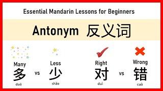 Essential Mandarin Lessons for beginners - Antonym 反义词