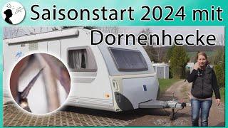 Saisonstart 2024 auf dem Dauerstellplatz | Verletzung durch Dornenhecke