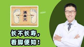 长不长寿，看脚便知！｜【老安谈健康】