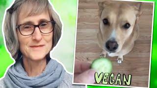 This Woman Made Her Dog Vegan!!! (That Vegan Teacher)