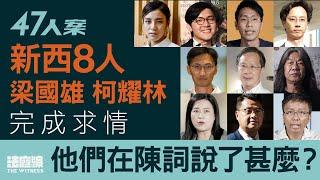 47人案求情｜新西8人、梁國雄、柯耀林完成求情　他們在陳詞說了甚麼？