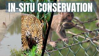 IN - SITU CONSERVATION