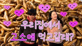 [역전의부자농부 336회] 고소애 농장 운영으로 연 매출 3억 원! 경기 양주 이계용 부자농부
