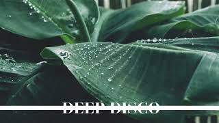 Deep Disco Music- Deep House Mix 2023