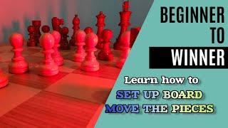 Don't Start Your Chess Game Wrong: Essential Guide to Correct Board Setup and Piece Movements