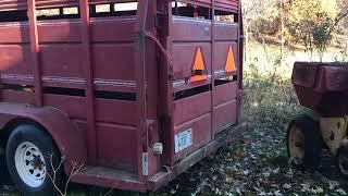 11-8-2023-hauled highland heifer to local meat processor-17 minutes