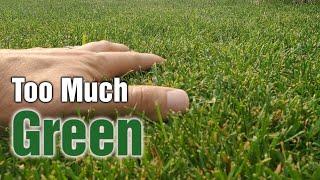 Few People Know This About DARK Green Lawns & Iron