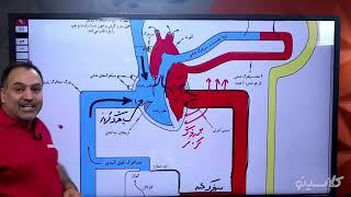 کلاسینو  First Classجلسه دوم کنکور1401 زیست استاد عمارلو