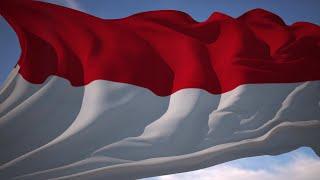 Video Animasi Bendera Indonesia Merah Putih Berkibar - Durasi Pendek 16 Detik (LOOPING)