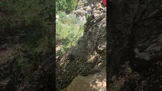لاإله إلا الله