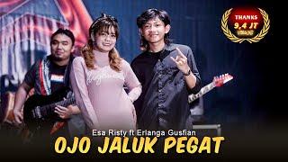 Ojo Njaluk Pegat - Esa Risty ft. Erlangga Gusfian | Viral TikTok Pancene Bener Kandane Bapak