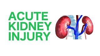 Acute Kidney Injury (AKI) || USMLE