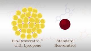 Resveratrol - What You Need to Know in About 1 Minute