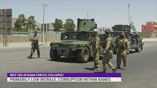 Answering your questions about Taliban taking over Afghanistan