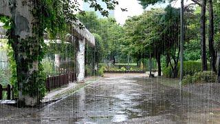 Rain Sounds for Relaxing - Healing White Noise that Makes Insomnia and Worries Disappear.