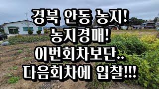 안동경매 농지 이번보단..다음회차 때 입찰! 2023타경2407 안동농지경매