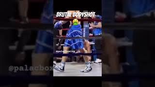 Vomits  After Brutal Bodyshot Knockout #boxing #shorts #fyp #shortvideo #shortsfeed #boxingworld