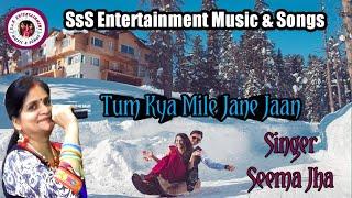 Cover: Seema Jha I tum kya mile song I Pooja bhatt i udit narayan I lata mangeshkar I ramlaxman  hit